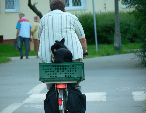 Kliknij na zdjęcie, żeby zobaczyć w pełnych wymiarach