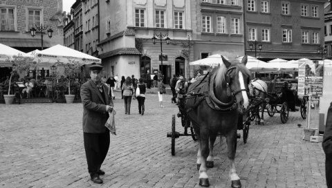 Kliknij na zdjęcie, żeby zobaczyć w pełnych wymiarach