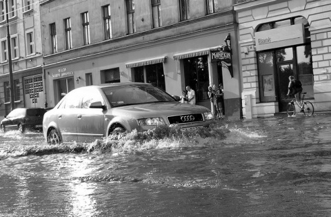 Kliknij na zdjęcie, żeby zobaczyć w pełnych wymiarach