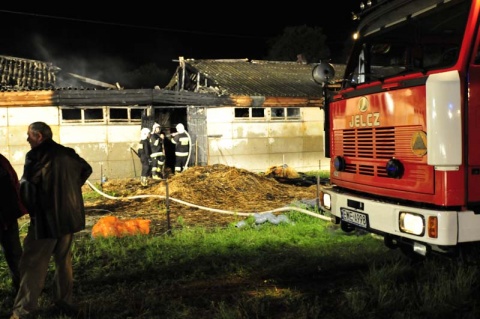 Kliknij na zdjęcie, żeby zobaczyć w pełnych wymiarach