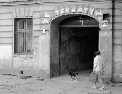 Kliknij na zdjęcie, żeby zobaczyć w pełnych wymiarach