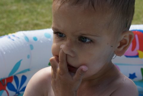 Kliknij na zdjęcie, żeby zobaczyć w pełnych wymiarach