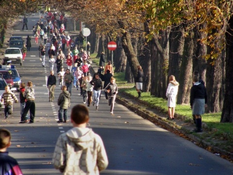 Kliknij na zdjęcie, żeby zobaczyć w pełnych wymiarach