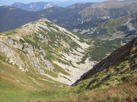 Kliknij na zdjęcie, żeby zobaczyć w pełnych wymiarach