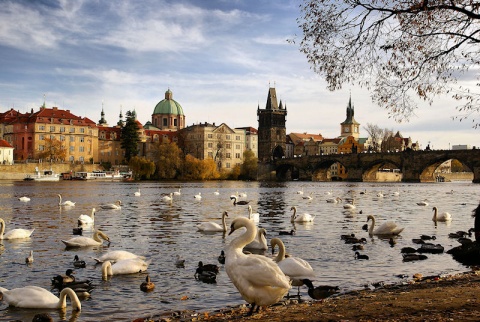 Kliknij na zdjęcie, żeby zobaczyć w pełnych wymiarach