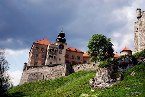 Kliknij na zdjęcie, żeby zobaczyć w pełnych wymiarach