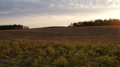 Kliknij na zdjęcie, żeby zobaczyć w pełnych wymiarach