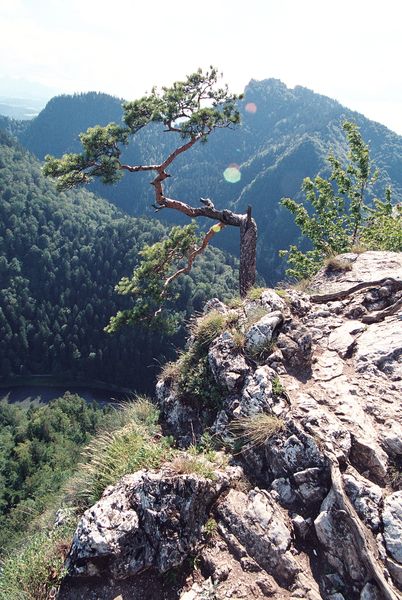 Kliknij na zdjęcie, żeby zobaczyć w pełnych wymiarach