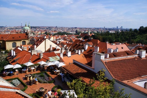 Kliknij na zdjęcie, żeby zobaczyć w pełnych wymiarach