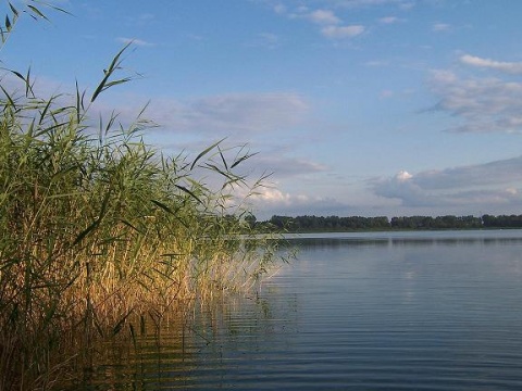 Kliknij na zdjęcie, żeby zobaczyć w pełnych wymiarach