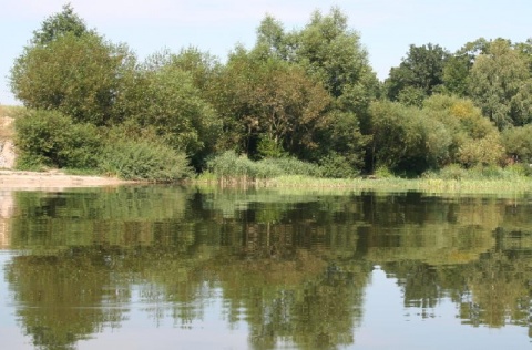 Kliknij na zdjęcie, żeby zobaczyć w pełnych wymiarach