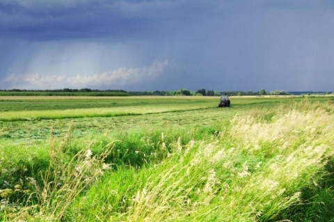 Kliknij na zdjęcie, żeby zobaczyć w pełnych wymiarach