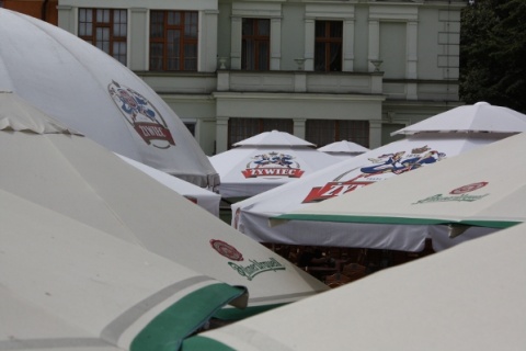 Kliknij na zdjęcie, żeby zobaczyć w pełnych wymiarach