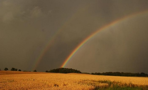 Kliknij na zdjęcie, żeby zobaczyć w pełnych wymiarach