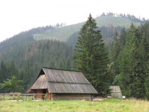 Kliknij na zdjęcie, żeby zobaczyć w pełnych wymiarach