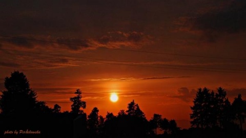 Kliknij na zdjęcie, żeby zobaczyć w pełnych wymiarach