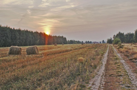 Kliknij na zdjęcie, żeby zobaczyć w pełnych wymiarach