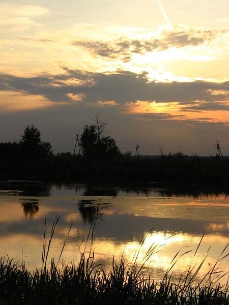 Kliknij na zdjęcie, żeby zobaczyć w pełnych wymiarach