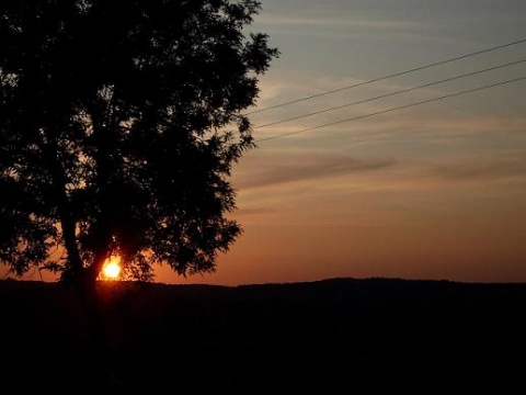 Kliknij na zdjęcie, żeby zobaczyć w pełnych wymiarach