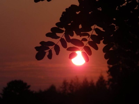 Kliknij na zdjęcie, żeby zobaczyć w pełnych wymiarach