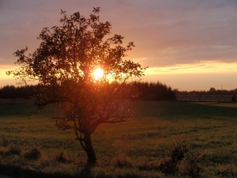 Kliknij na zdjęcie, żeby zobaczyć w pełnych wymiarach