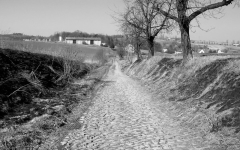 Kliknij na zdjęcie, żeby zobaczyć w pełnych wymiarach