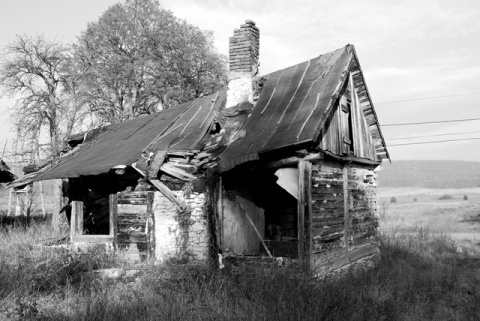 Kliknij na zdjęcie, żeby zobaczyć w pełnych wymiarach