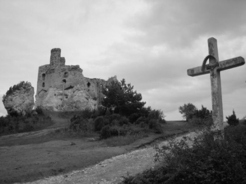 Kliknij na zdjęcie, żeby zobaczyć w pełnych wymiarach