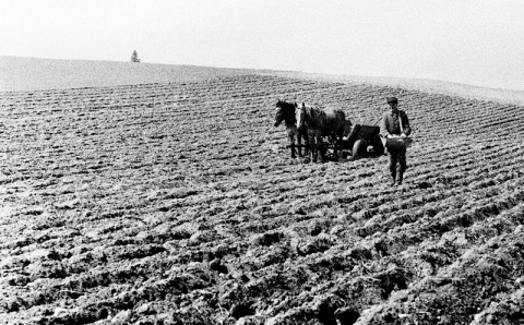 Kliknij na zdjęcie, żeby zobaczyć w pełnych wymiarach