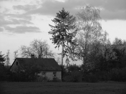 Kliknij na zdjęcie, żeby zobaczyć w pełnych wymiarach