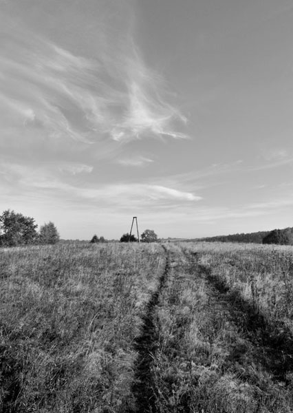 Kliknij na zdjęcie, żeby zobaczyć w pełnych wymiarach