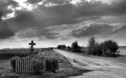 Kliknij na zdjęcie, żeby zobaczyć w pełnych wymiarach