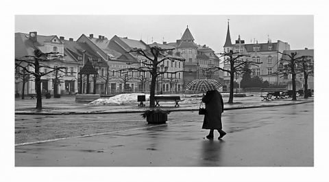 Kliknij na zdjęcie, żeby zobaczyć w pełnych wymiarach