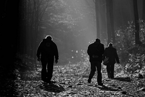 Kliknij na zdjęcie, żeby zobaczyć w pełnych wymiarach