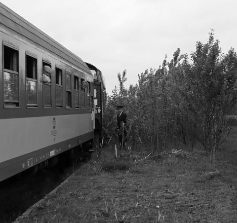 Kliknij na zdjęcie, żeby zobaczyć w pełnych wymiarach