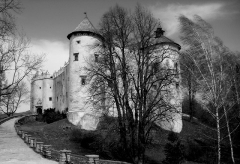 Kliknij na zdjęcie, żeby zobaczyć w pełnych wymiarach