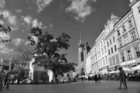 Kliknij na zdjęcie, żeby zobaczyć w pełnych wymiarach