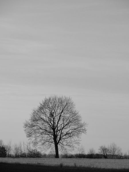 Kliknij na zdjęcie, żeby zobaczyć w pełnych wymiarach