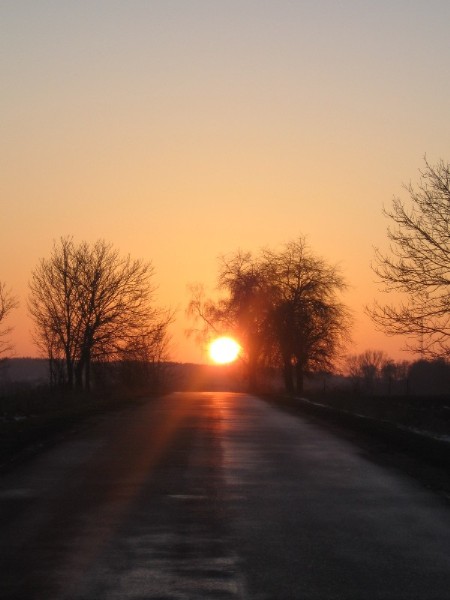 Kliknij na zdjęcie, żeby zobaczyć w pełnych wymiarach