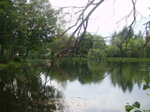 Kliknij na zdjęcie, żeby zobaczyć w pełnych wymiarach