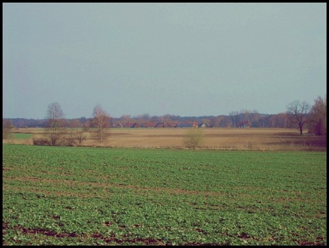 Kliknij na zdjęcie, żeby zobaczyć w pełnych wymiarach