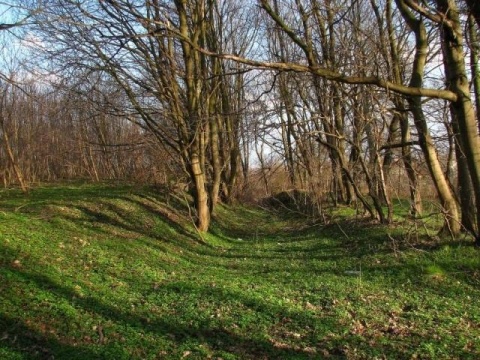 Kliknij na zdjęcie, żeby zobaczyć w pełnych wymiarach