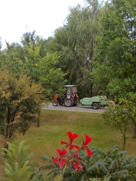 Kliknij na zdjęcie, żeby zobaczyć w pełnych wymiarach