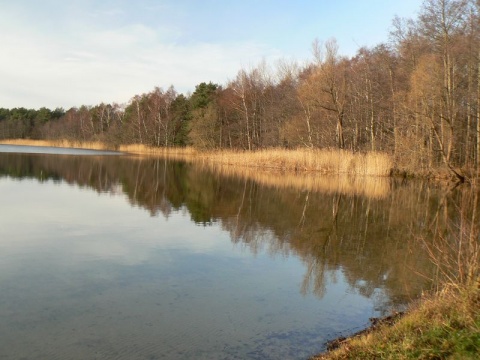 Kliknij na zdjęcie, żeby zobaczyć w pełnych wymiarach