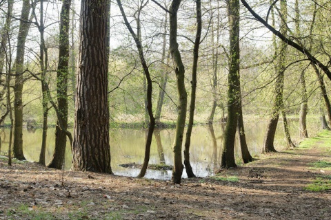 Kliknij na zdjęcie, żeby zobaczyć w pełnych wymiarach