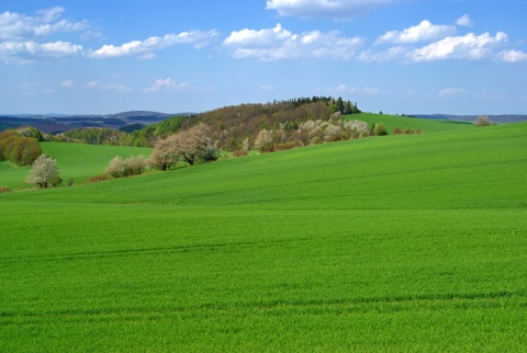 Kliknij na zdjęcie, żeby zobaczyć w pełnych wymiarach