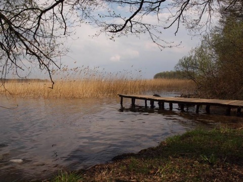 Kliknij na zdjęcie, żeby zobaczyć w pełnych wymiarach