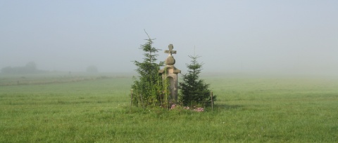 Kliknij na zdjęcie, żeby zobaczyć w pełnych wymiarach