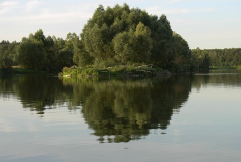 Kliknij na zdjęcie, żeby zobaczyć w pełnych wymiarach