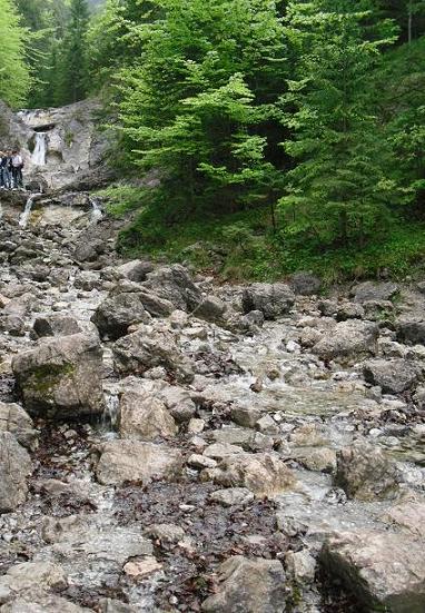 Kliknij na zdjęcie, żeby zobaczyć w pełnych wymiarach